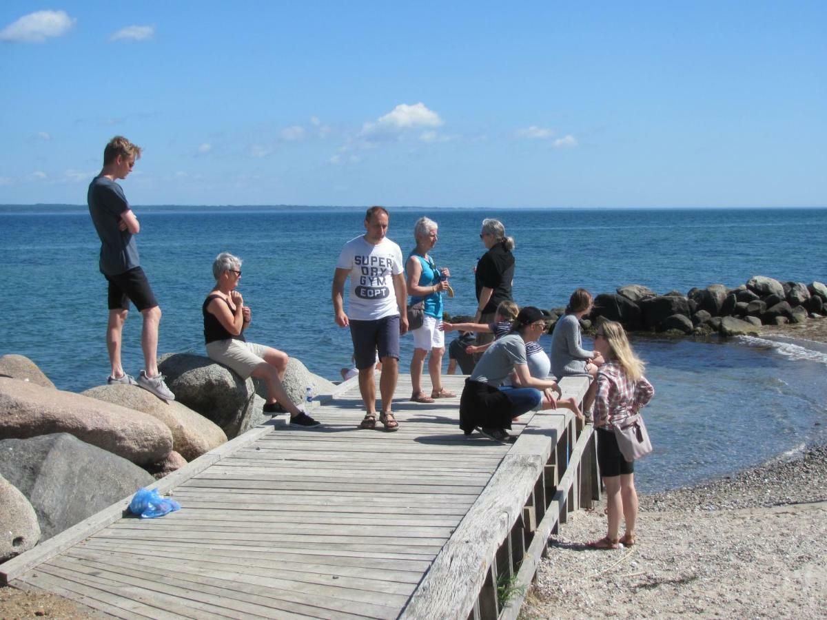Dancamps Trelde Naes Campsite
